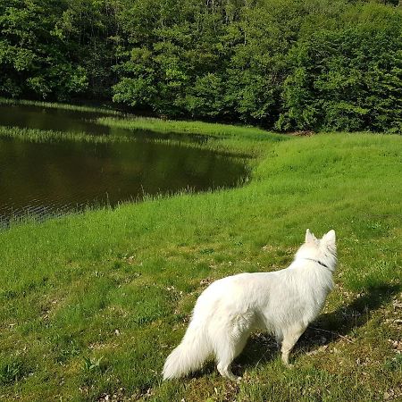 Gite Le Domaine D Orphee Marmagne  Kültér fotó