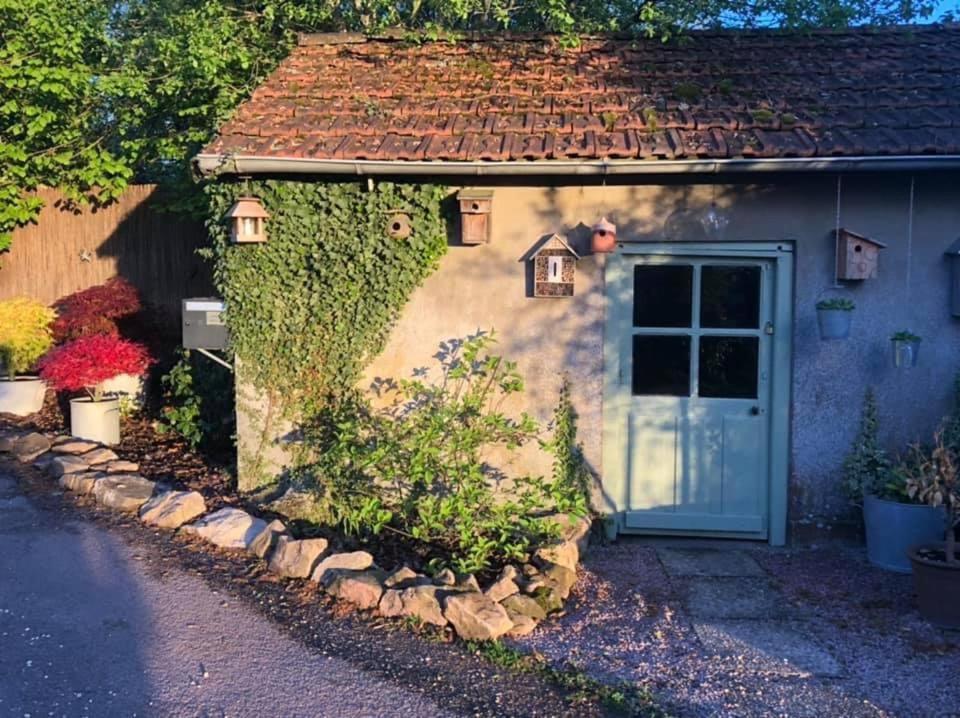 Gite Le Domaine D Orphee Marmagne  Kültér fotó