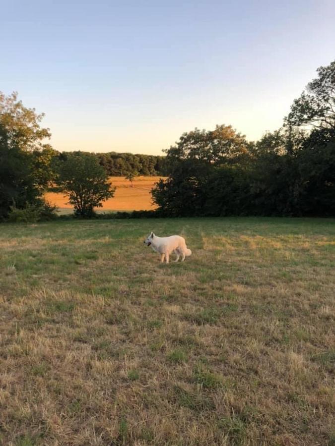 Gite Le Domaine D Orphee Marmagne  Kültér fotó